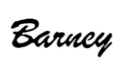 CARL BARNEY GUITARS