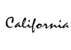 CALIFORNIA AMPLIFIERS