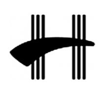 HOPKINS GUITARS logo