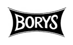 BORYS logo
