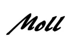 MOLL CUSTOM INSTRUMENTS