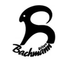 BACHMANN GUITARS