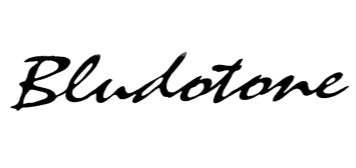 BLUDOTONE AMP WORKS logo