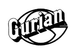 GURIAN, MICHAEL