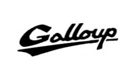 GALLOUP GUITARS