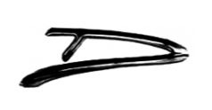 DINGWALL DESIGNER GUITARS