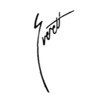EVERETT GUITARS logo