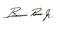 BERNIE RICO JR. GUITARS