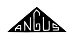ANGUS GUITARS logo