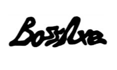 BOSS AXE logo