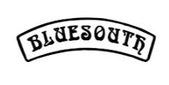 BLUESOUTH logo