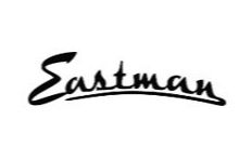 Eastman Strings