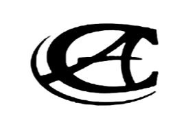 CA GUITARS