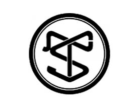 SAKASHTA GUITARS logo