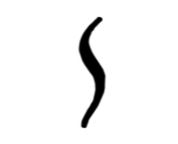 SWARTELE GUITARS logo