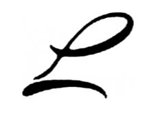 LOWRY GUITARS