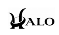 HALO CUSTOM GUITARS, INC.