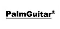 PALM GUITAR