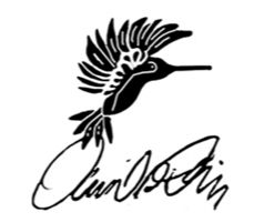 DAVID DAILY GUITARS logo