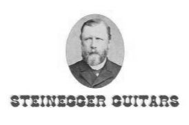 STEINEGGER GUITARS logo
