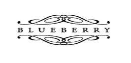 BLUEBERRY GUITARS logo