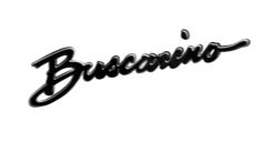 BUSCARINO GUITARS logo