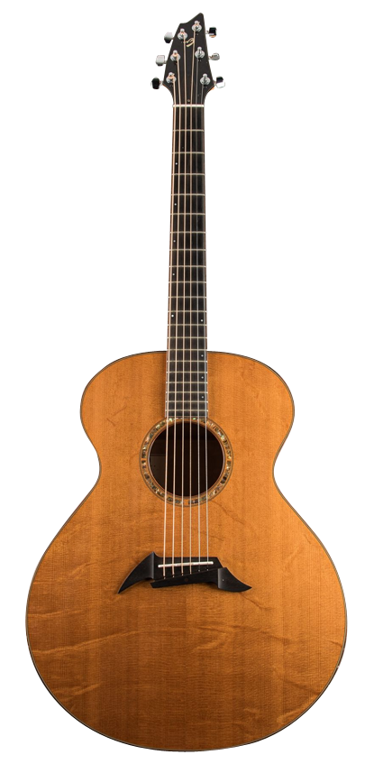 BREEDLOVE J20 Image