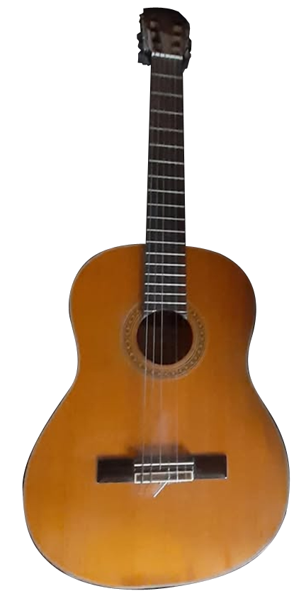 WASHBURN C20 image