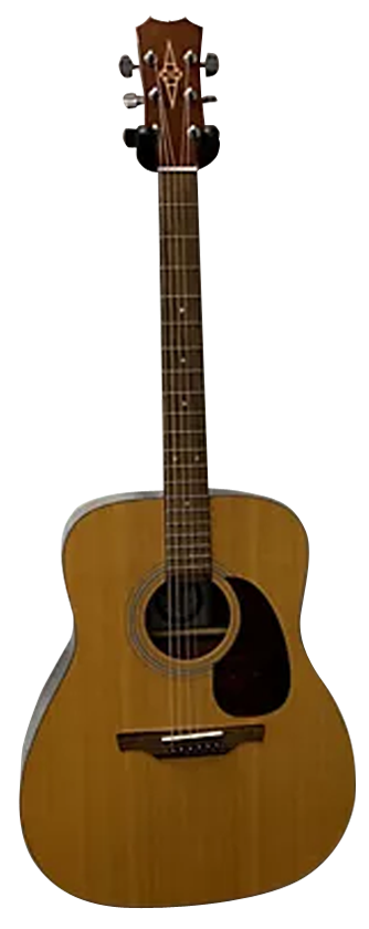 ALVAREZ 5209 REGENT Image