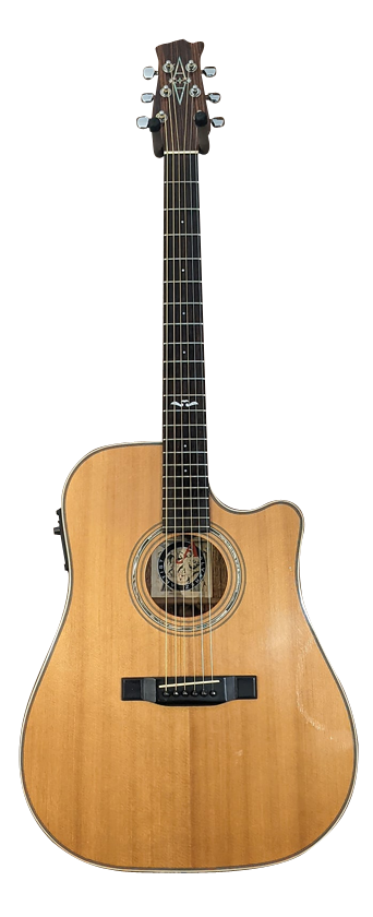 ギター DeliciousTaylormade FUXXONLY AntiguaLTD Daisy Rock Debutante Butterfly Short Scale 6 String Electric
