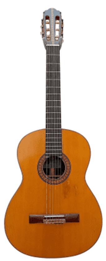 EPIPHONE MODEL 6514 Image
