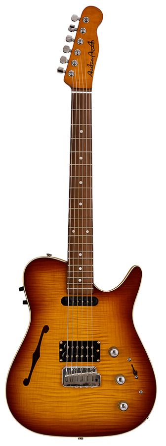 PBC GUITAR TECHNOLOGY ARLEN ROTH SIGNATURE AC 200 Image