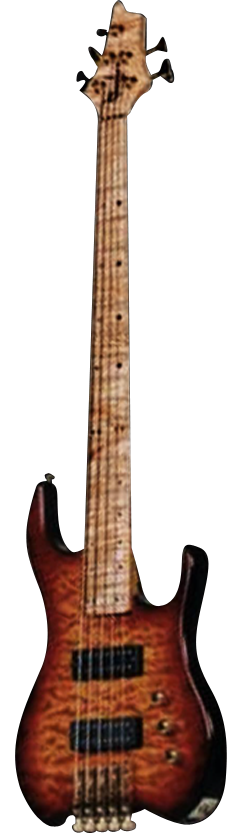 BUNKER GUITARS Sunstar GTB355 Five-String Image