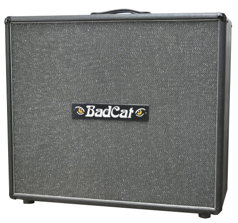 BAD CAT S410 Image