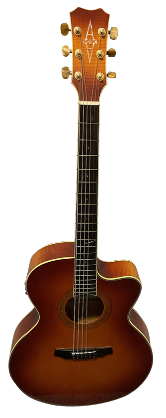 ALVAREZ 2551 ROSEWOOD for sale - Price and Used Value