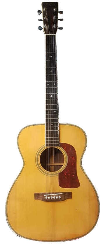 WASHBURN F30 S Image
