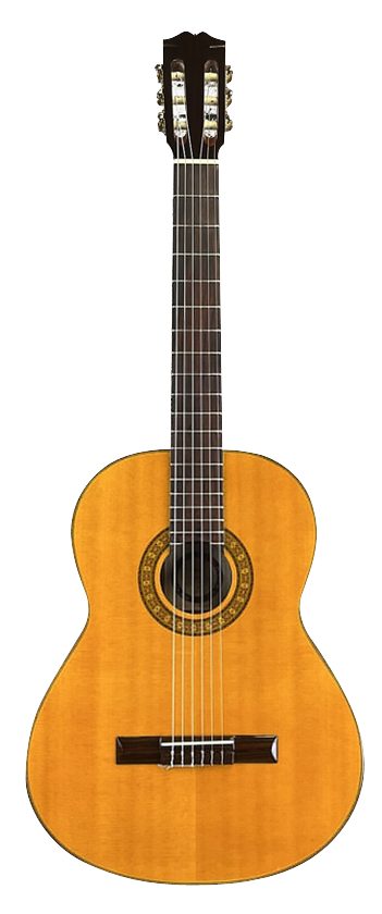 ALVAREZ 5201 REGENT CLASSIC (5201 CLASSIC) Image