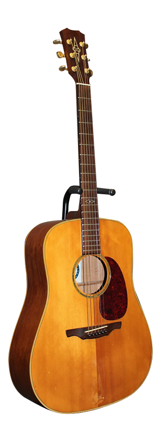 ALVAREZ 5037 WILDWOOD 12-STRING for sale - Price and Used Value