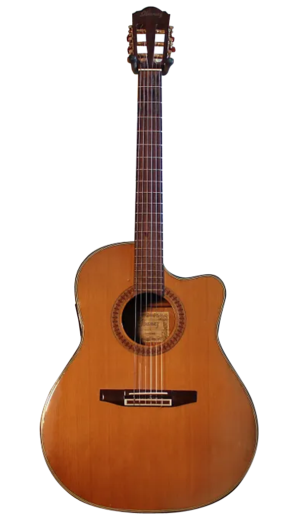 IBANEZ N601 N Image
