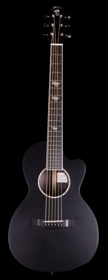 SANTA CRUZ JANIS IAN MODEL (BLACK FINISH) Image