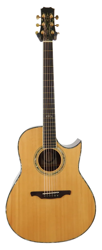 ALVAREZ 6020 C ELEGANCE CUTAWAY Image