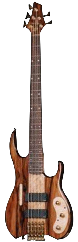 BUNKER GUITARS Galaxy BTX500 Five-String Image
