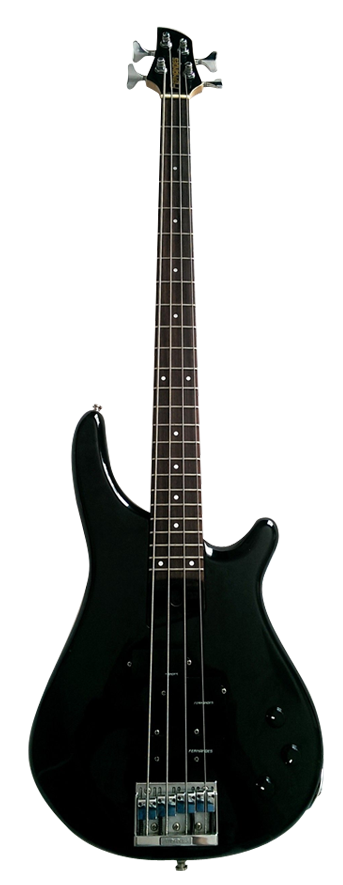 FERNANDES AMB-40 Image