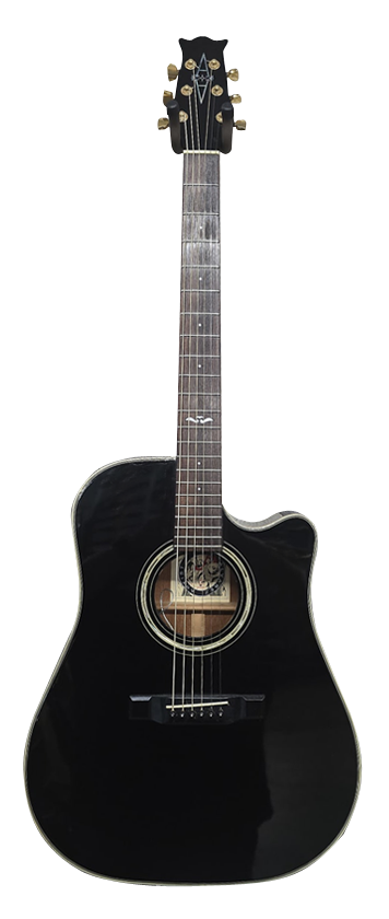 ALVAREZ 5084 N for sale - Price and Used Value