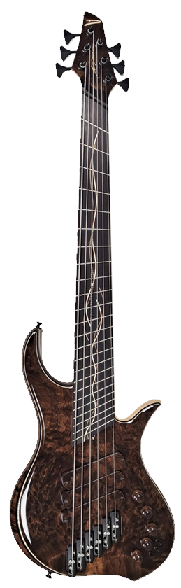 DINGWALL DESIGNER GUITARS Prima Six-String Image