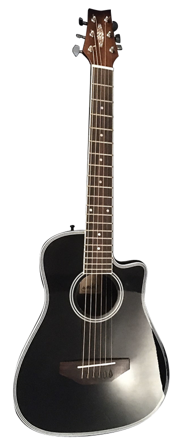 WECHTER GUITARS 1600 TRAVEL GUITAR Image