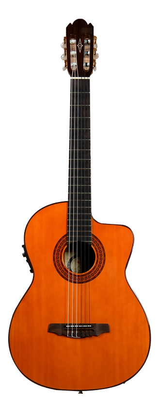 ALVAREZ 5008 C CLASSIC image