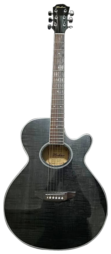 HOHNER EA60CEQ image