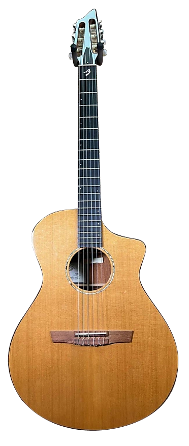 値引き❗美品‼️Breedlove Breedlove　 ハードケース Breedlove Products - Bill's Music
