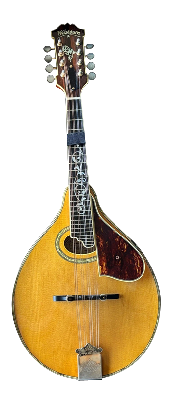 WASHBURN M3 S DL Deluxe Image